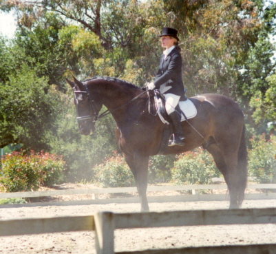 Ami ridden by Ursula von der Leyen at Stanford Equestrian Center