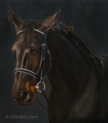 Horse portrait in oil, Painting of Ami