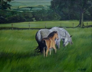 Mare and Foal, grazing in North Yorkshire countryside