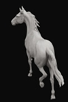 Horse Sculptures by Mary Sand : Arabian horse