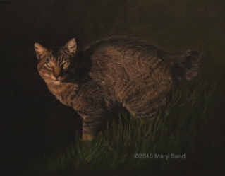 Cat portrait in oil, Painting of Bob